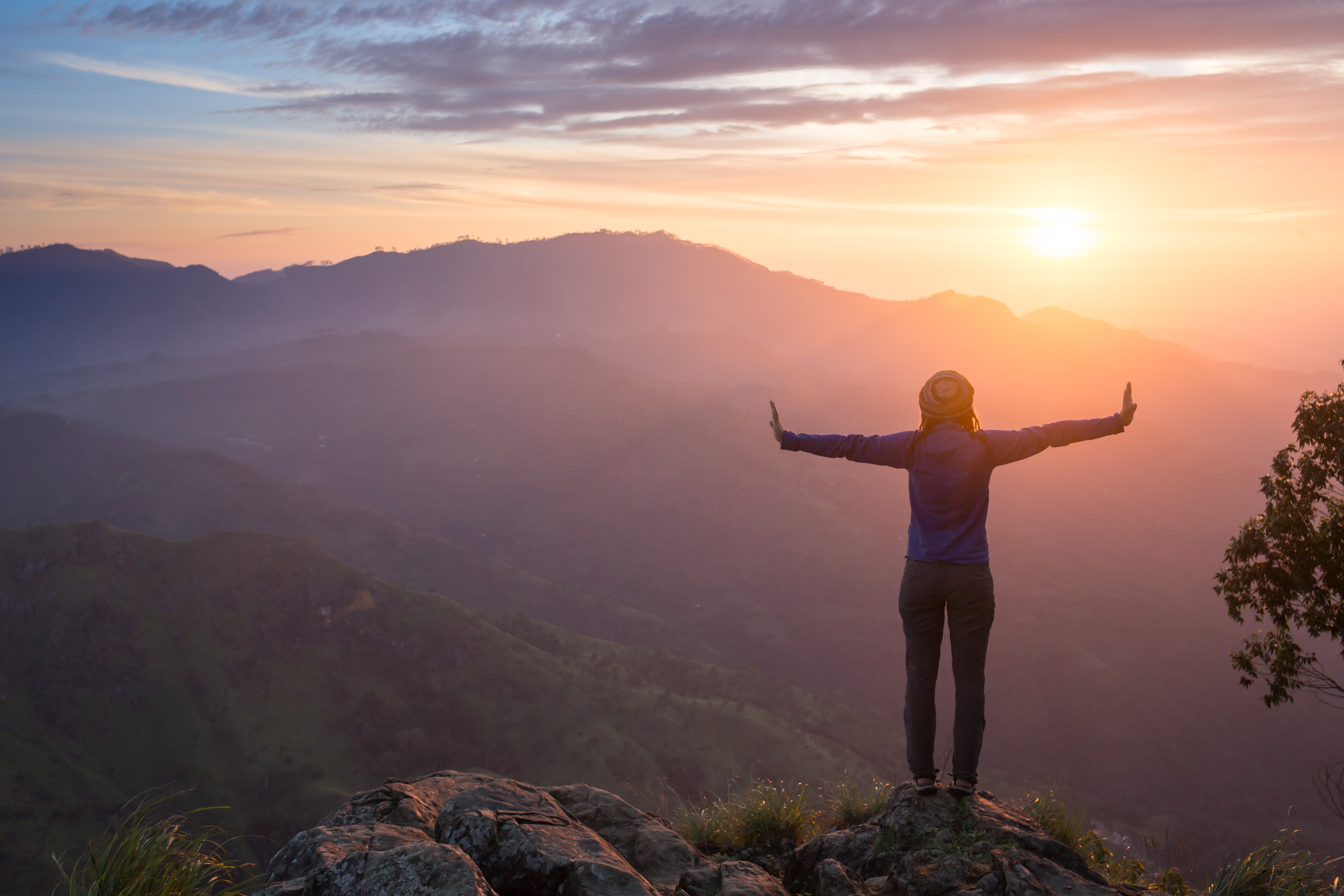 Face Reading: A Catalyst for Wellness 